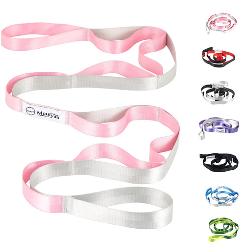 Stretching Strap Yoga Strap for Physical Therapy10 Loops Yoga Straps for StretchingNon-Elastic Stretch Strap for Pilates Flexibility Exercise Stretch Band Women Men (Pink&Silver)