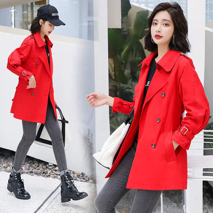 Fashionable Comfortable Casual Windbreaker Jacket
