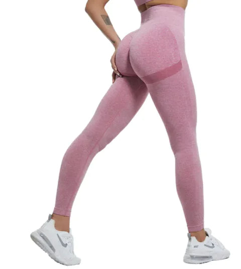 Women's Workout Tights